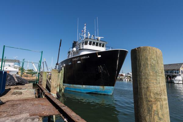 Image: The Scarlett Isabella