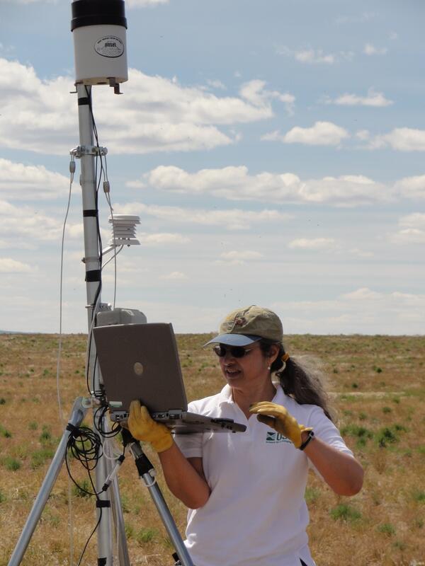 Image: Scientists Collecting Field Data