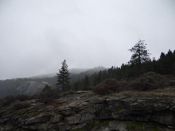 Image: Yosemite National Park