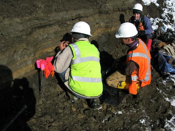 Image: Fossil-Bearing Sediments