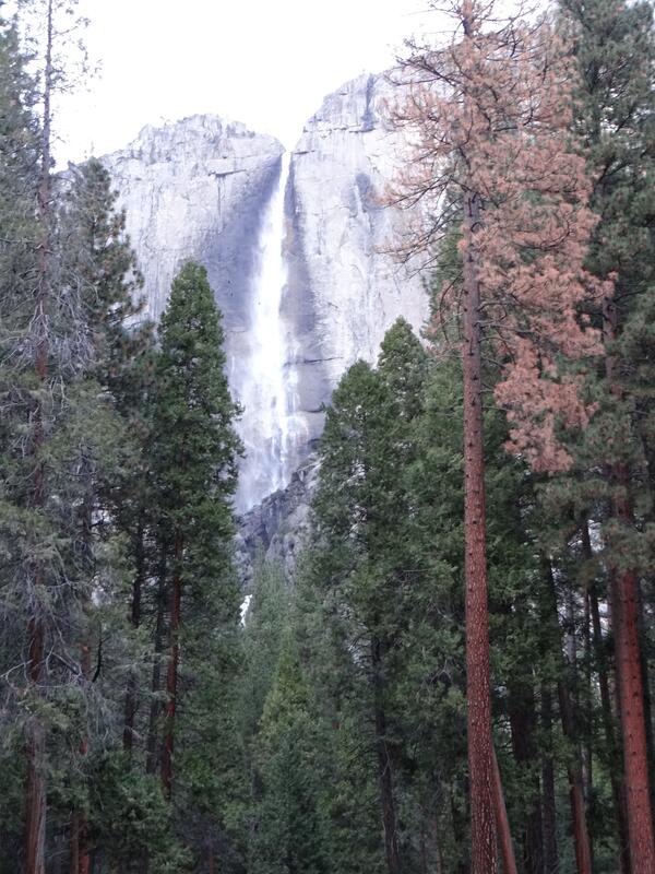 Image: Lower Yosemite Falls