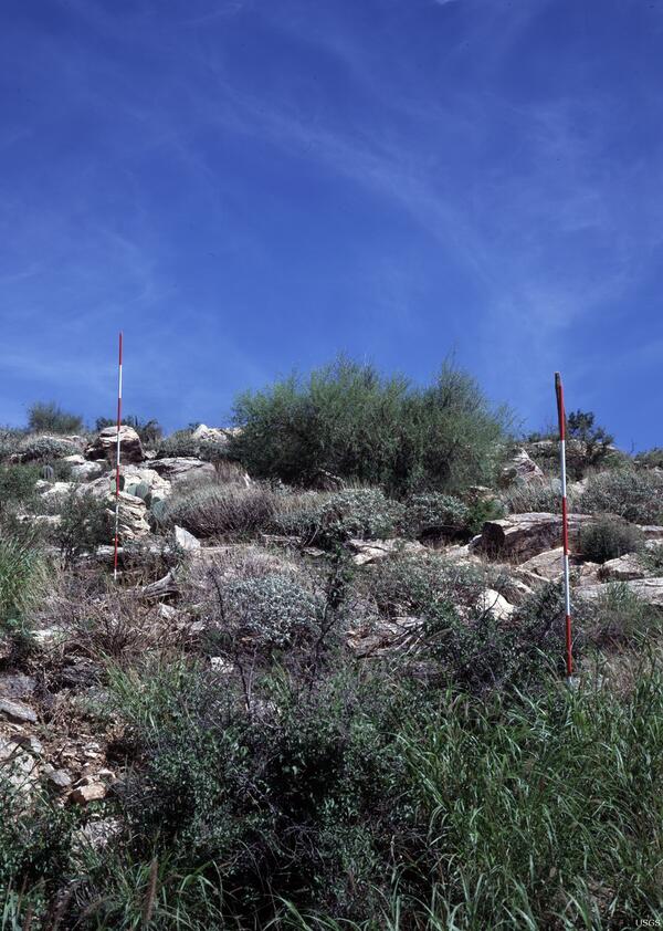 Image: Santa Catalina Highway, near Tucson, Southern Arizona - 2006