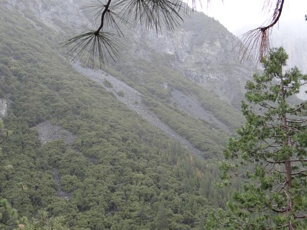 Image: Talus Flows in Yosemite Valley