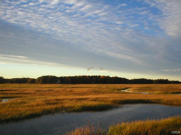 Image: Tidal Marshland in the Plum Island Estuary, Massachusetts