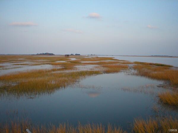Image: Tidal Marshland in the Plum Island Estuary, Massachusetts