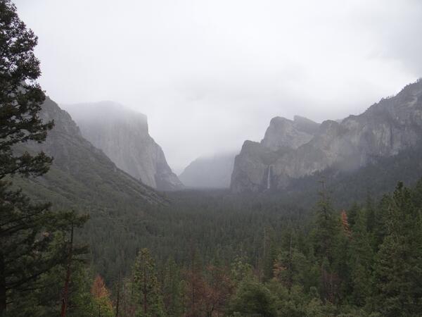 Image: Yosemite Valley in Fog
