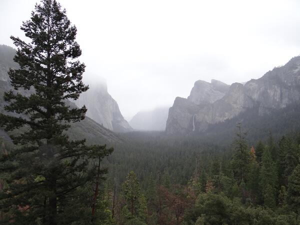 Image: Yosemite Valley in Fog