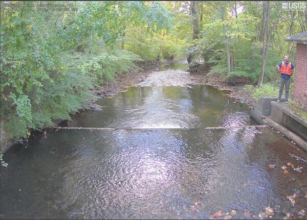 Looking down river along a tree lined stream