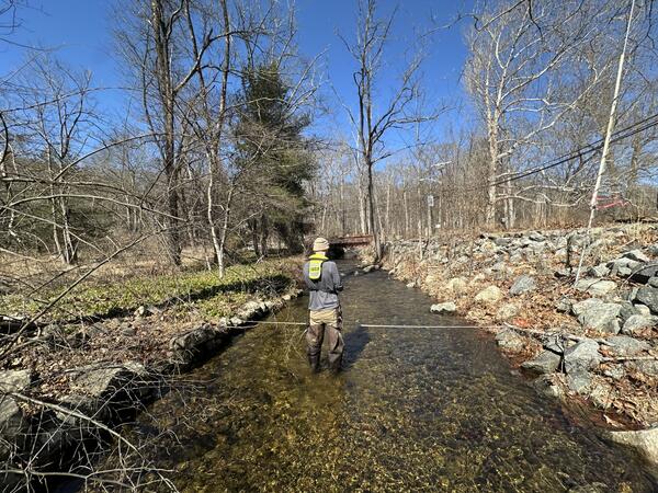 Looking at the back of a man in waders and grey shirt with a line stretched across the river he's in
