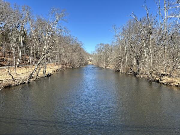 Looking upstream along a tree-lined river from a position in the middle of the river