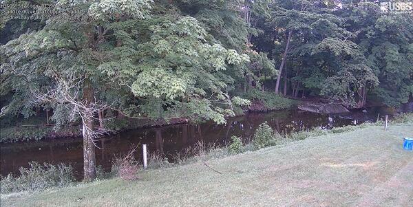 Looking across a yard at a small creek 