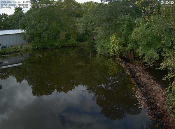 Looking downstream into the woods along the length of the upper weir on the right