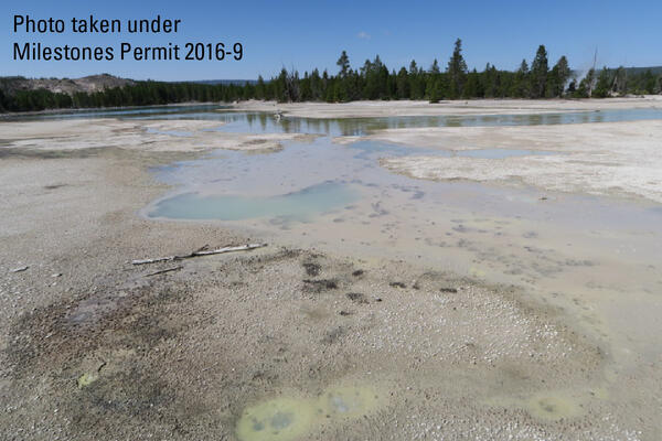 A barren plain with some colorful water marking occasional springs amidst white ground. Trees in the distance. Blue sky.