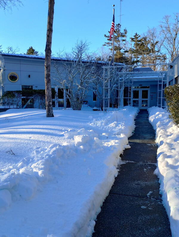 building with lots of snow on the ground and a shoveled path to the door