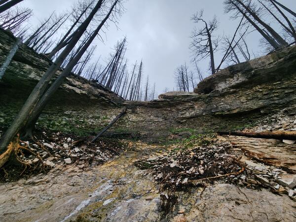 rock outcrop near the top of a channel surrounded by burned trees