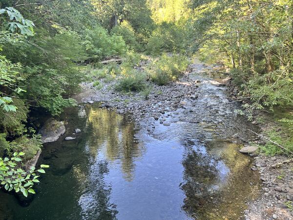 Scenic river view. Water is clear and shallow exposing rocky river bottom. Tree lined bank and wildfire smoke in the air
