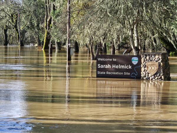 Dark tan water is up to sign at flooded park