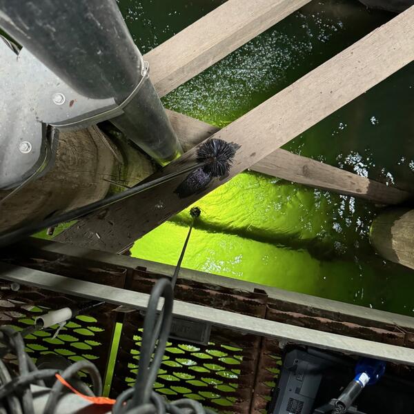 Inside a bridge dolphin looking down into green water depths