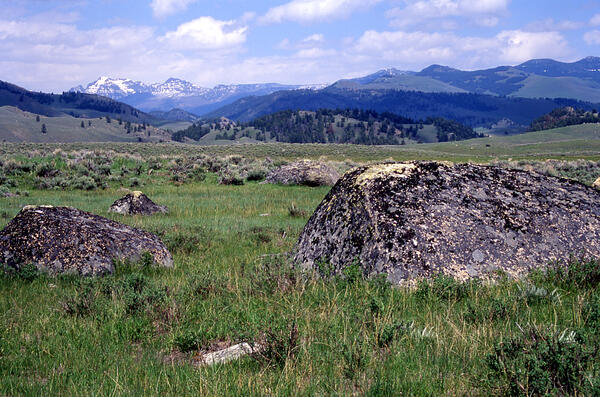 grassy field with moss-covered boulders, and forested hills and snowy mountains in the distance