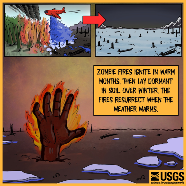 A panel of illustrations shows a plane putting out a wildfire, the burnt forest during the winter, and a zombie hand on fire.