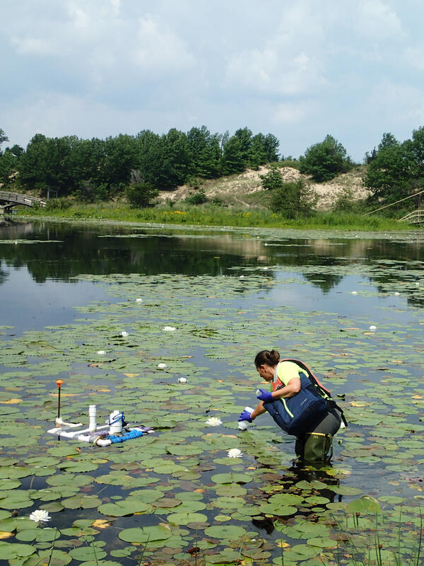 Collecting Water Samples in a Lagoon