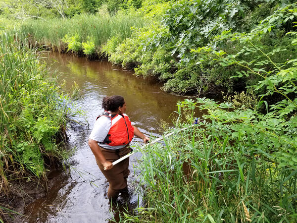 Water quality sample collection at Herring River estuary in Wellfleet, Massachusetts