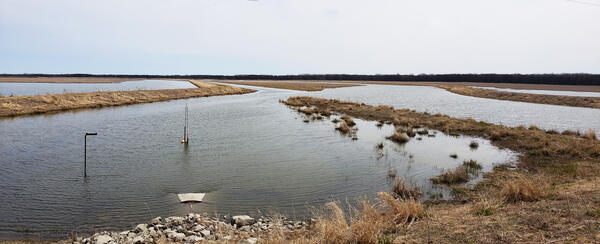Shiawassee National Wildlife Refuge, MI