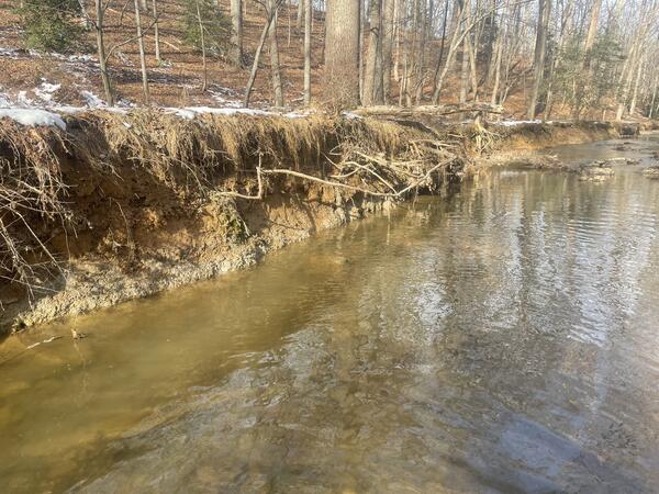 An eroded urban streambank