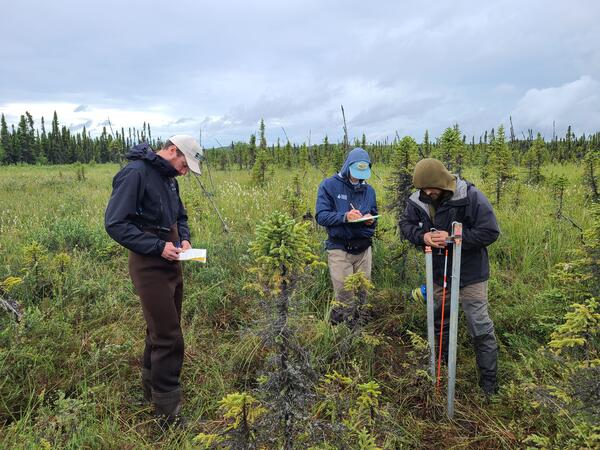Researchers performing field work in Beaver Creek, AK.