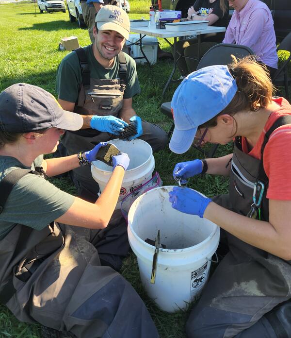 Collection of aquatic invertebrates in the field