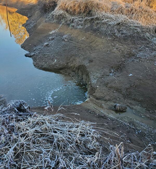 small drainage cuts into the exposed soil as it flows into Fern Ridge Lake.