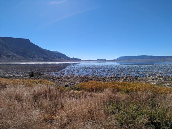 Looking north at a shallow lake water with reedy grasses sticking out. A large ridge with plateau on the left. Blue skies. 