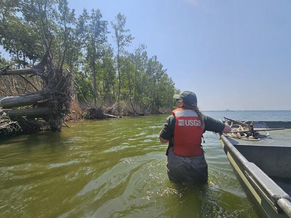 Researcher wearing orange safety equipment walks in shallow water pulling a jon boat, tall trees on the shore