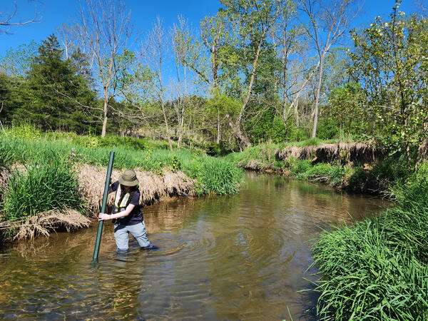 A scientist stands in a small rural creek and works a piece of green metal post into the streambed.