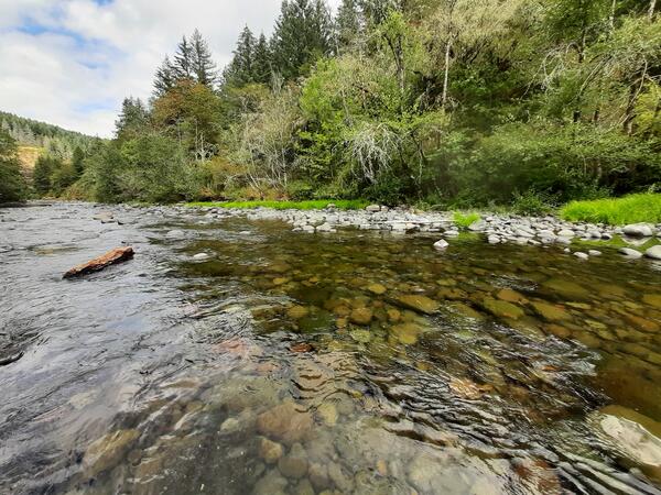 View of a scenic river with cobbles visible below the clear water. Tree lined bank and a partly cloudy sky