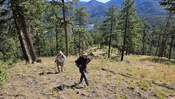 two people walking uphill through a pine forest, with a lake and mountains in the background