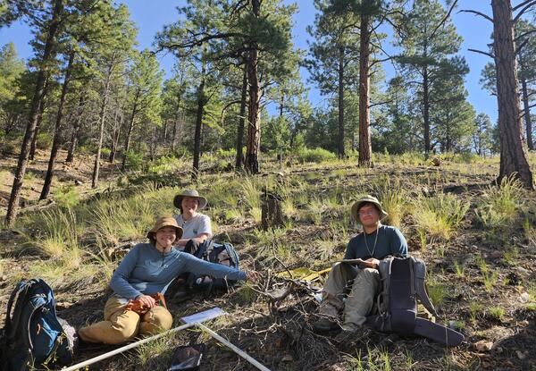 three people in field gear and with field equipment sit on a forest floor, with grasses and pine trees behind them