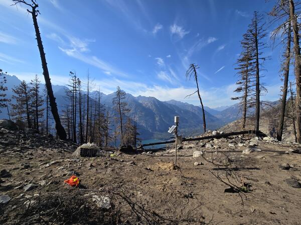 The remains of a wildfire on a mountaintop looking into the distance - the few remaining trees have been burned black