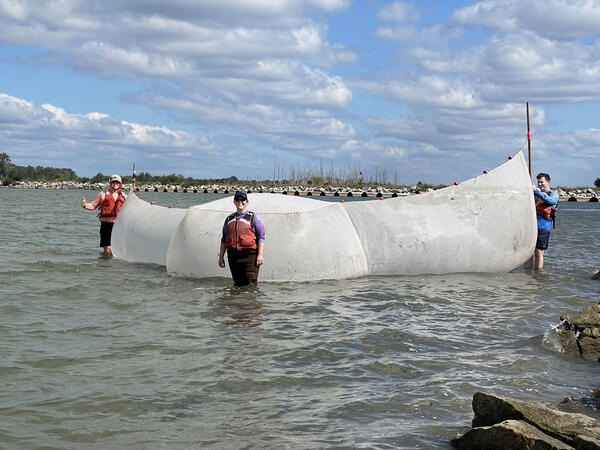Three researchers standing in shallow water holding a seine net open