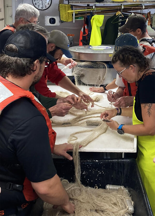 Researchers standing around a table sorting fish out of a gill net on a research vessell.