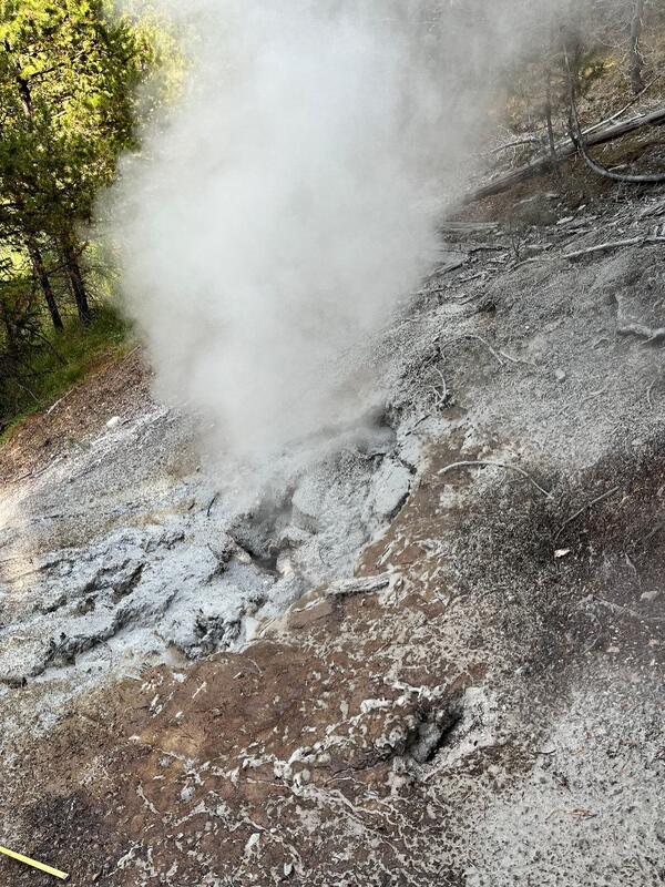 Steam vent in barren ground.  Light white silica coating dusts the surroundings.  Forested area in the background