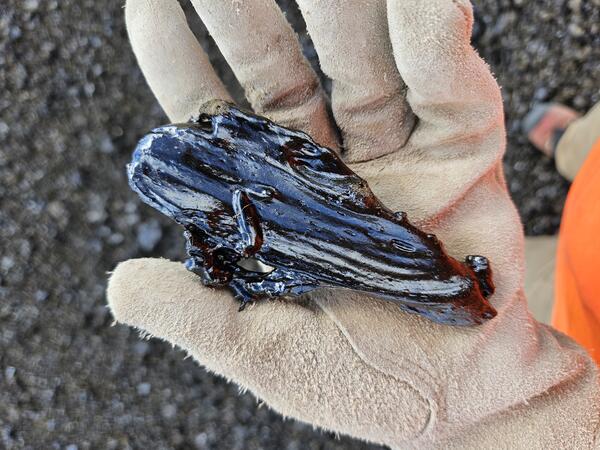 Color photograph of lava sample in a gloved hand