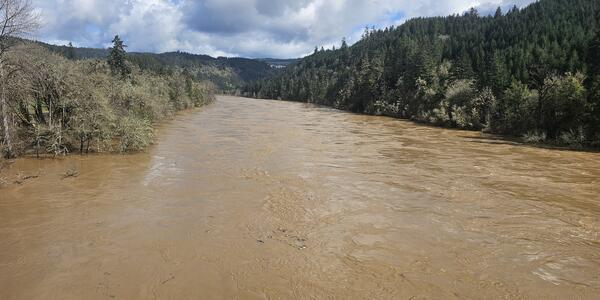 A wide channel full of brown water spills over onto tree lined banks on a partly cloudy day