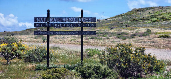 Natural resources sign at Wilson Cove Field Station on San Clemente Island