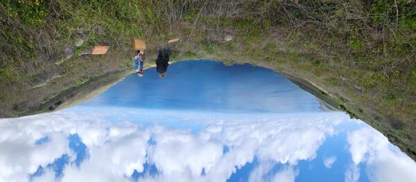 Researchers with plywood boards to increase rare lizard habitat on a slope overlooking the ocean, San Clemente Island