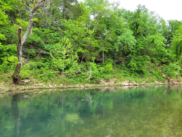 Stream in Arkansas