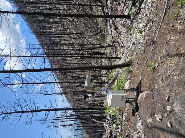 equipment including rain gage and solar panel on hillslope covered by burned trees 