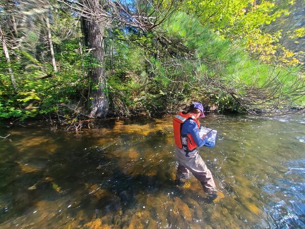 A woman wades a river and writes notes on a pad. 