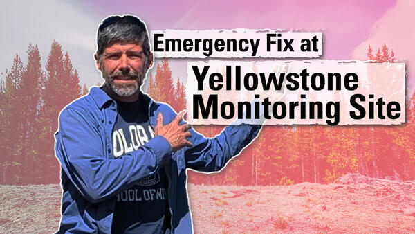 Thumbnail image of a man gesturing towards trees in the background