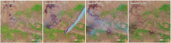 satellite images of wildfires in Oregon 2026